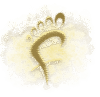 Funfootprints